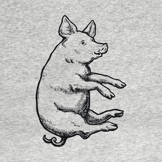 A Levity of Animals: When Pigs Fly by calebfaires